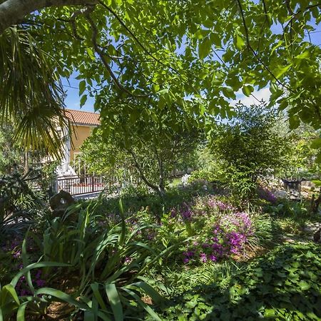 Apartment Vili Pinezići المظهر الخارجي الصورة